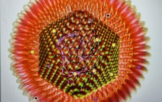 Virus